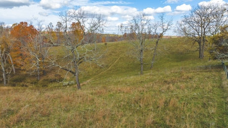Offering #2 Country Home with Acreage for Sale in Floyd VA - image 18