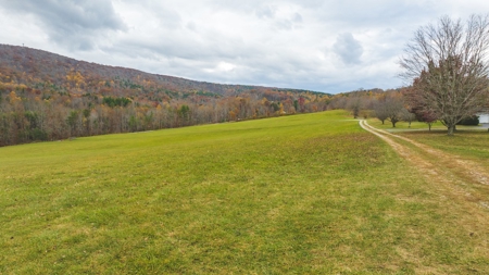 Offering #2 Country Home with Acreage for Sale in Floyd VA - image 21