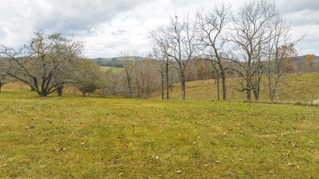 Offering #2 Country Home with Acreage for Sale in Floyd VA - image 24