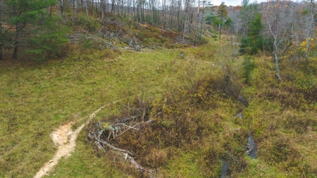 Offering #3 Large Farm Tract for Sale at Auction in Floyd VA - image 17