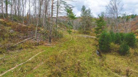 Offering #3 Large Farm Tract for Sale at Auction in Floyd VA - image 19