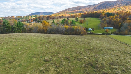 Offering #3 Large Farm Tract for Sale at Auction in Floyd VA - image 7
