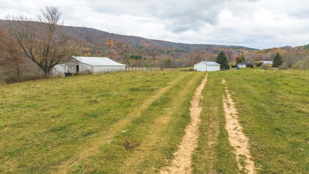 Offering #3 Large Farm Tract for Sale at Auction in Floyd VA - image 21