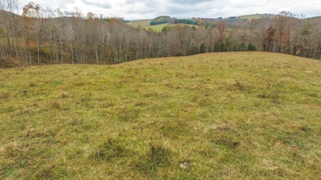 Offering #3 Large Farm Tract for Sale at Auction in Floyd VA - image 26