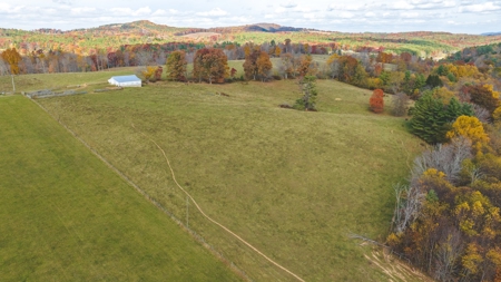Offering #3 Large Farm Tract for Sale at Auction in Floyd VA - image 10