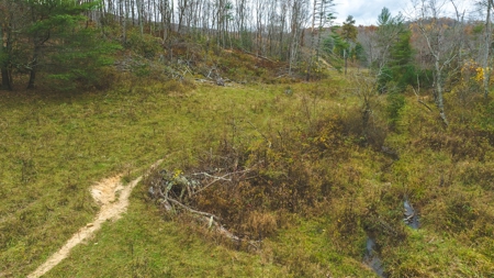 Offering #3 Large Farm Tract for Sale at Auction in Floyd VA - image 18