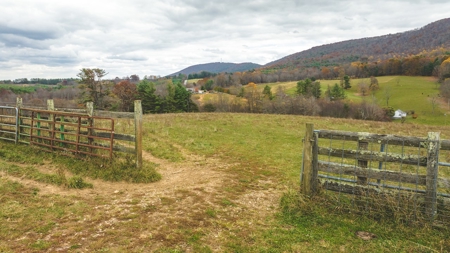 Offering #3 Large Farm Tract for Sale at Auction in Floyd VA - image 22