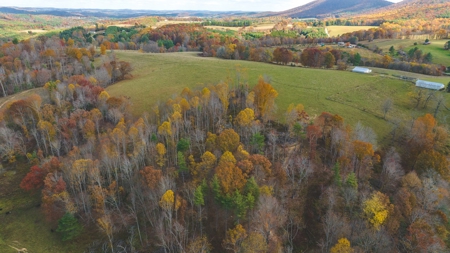 Offering #3 Large Farm Tract for Sale at Auction in Floyd VA - image 3