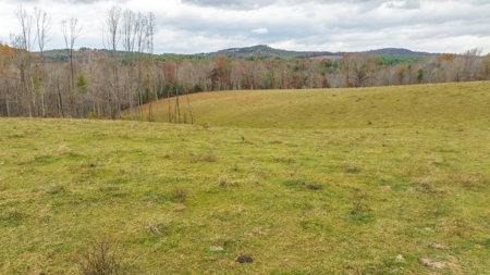 Offering #3 Large Farm Tract for Sale at Auction in Floyd VA - image 25