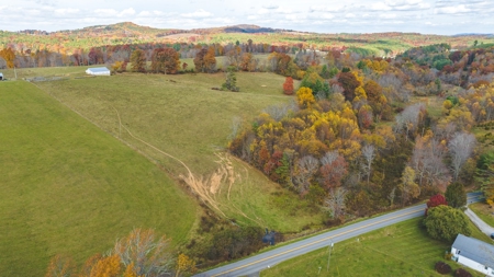 Offering #3 Large Farm Tract for Sale at Auction in Floyd VA - image 9