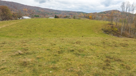 Offering #3 Large Farm Tract for Sale at Auction in Floyd VA - image 27