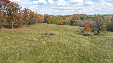 Offering #3 Large Farm Tract for Sale at Auction in Floyd VA - image 8