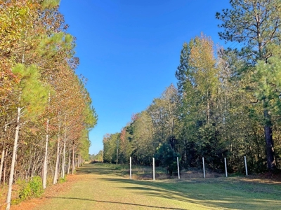 Country Home, 39+ Acres, Trees, Near State Park, Cheraw, SC - image 45