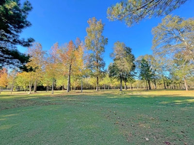 Country Home, 39+ Acres, Trees, Near State Park, Cheraw, SC - image 43