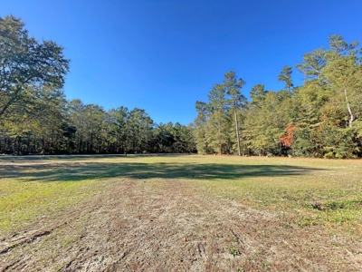 Country Home, 39+ Acres, Trees, Near State Park, Cheraw, SC - image 7