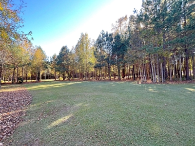 Country Home, 39+ Acres, Trees, Near State Park, Cheraw, SC - image 42