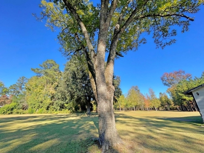 Country Home, 39+ Acres, Trees, Near State Park, Cheraw, SC - image 36