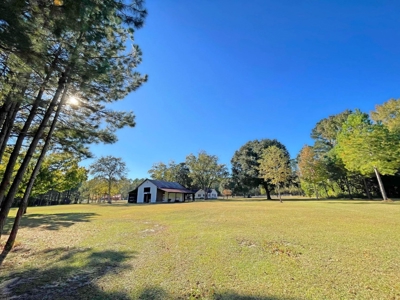 Country Home, 39+ Acres, Trees, Near State Park, Cheraw, SC - image 38