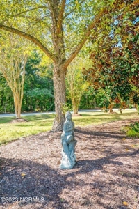 Albemarle Plantation Home For Sale-18 Hole Golf Course - image 9