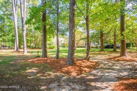 Albemarle Plantation Home For Sale-18 Hole Golf Course - image 12