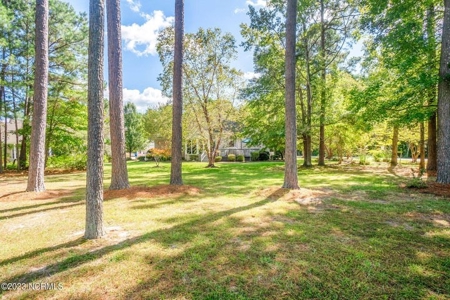 Albemarle Plantation Home For Sale-18 Hole Golf Course - image 14