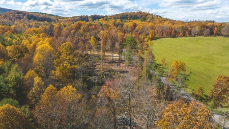 Offering #5 Partially Wooded Tract of Land for Sale in Floyd - image 2