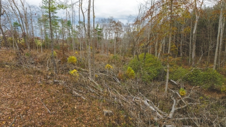 Offering #5 Partially Wooded Tract of Land for Sale in Floyd - image 18