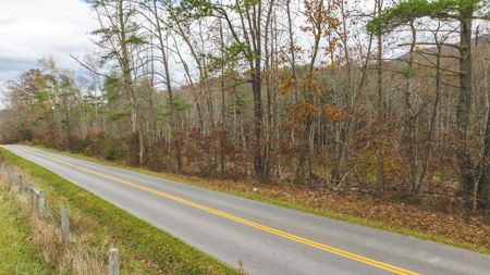 Offering #5 Partially Wooded Tract of Land for Sale in Floyd - image 21