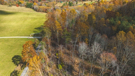 Offering #5 Partially Wooded Tract of Land for Sale in Floyd - image 14
