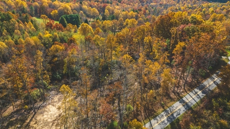 Offering #5 Partially Wooded Tract of Land for Sale in Floyd - image 5