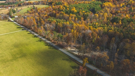 Offering #5 Partially Wooded Tract of Land for Sale in Floyd - image 10