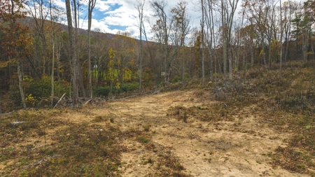 Offering #5 Partially Wooded Tract of Land for Sale in Floyd - image 16