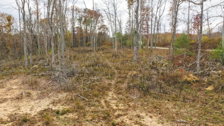 Offering #5 Partially Wooded Tract of Land for Sale in Floyd - image 17