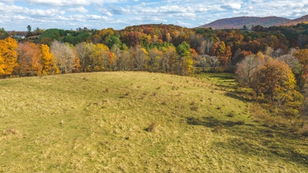 Offering #4 Farmland for Sale at Auction in Floyd VA - image 7