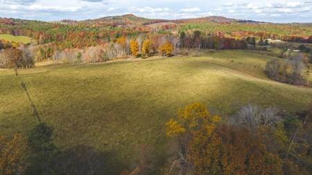 Offering #4 Farmland for Sale at Auction in Floyd VA - image 1