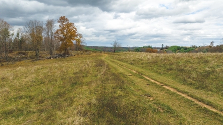 Offering #4 Farmland for Sale at Auction in Floyd VA - image 18