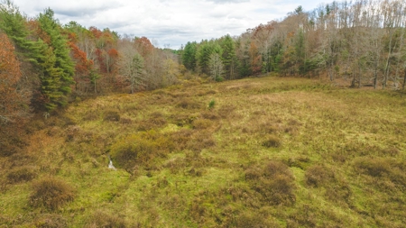 Offering #4 Farmland for Sale at Auction in Floyd VA - image 16
