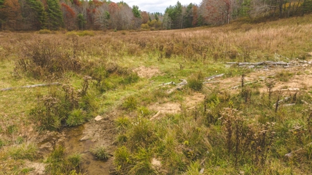 Offering #4 Farmland for Sale at Auction in Floyd VA - image 15
