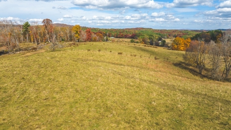 Offering #4 Farmland for Sale at Auction in Floyd VA - image 6