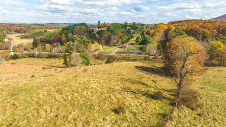 Offering #4 Farmland for Sale at Auction in Floyd VA - image 9