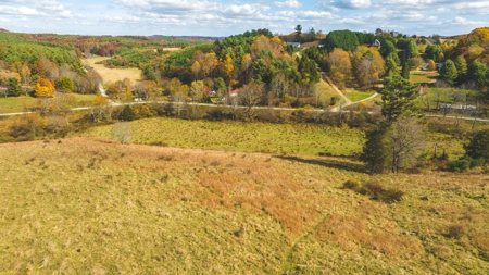 Offering #4 Farmland for Sale at Auction in Floyd VA - image 10