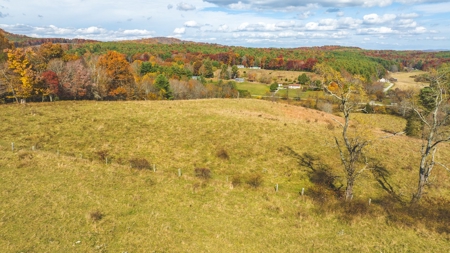 Offering #4 Farmland for Sale at Auction in Floyd VA - image 8