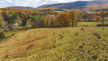 Offering #4 Farmland for Sale at Auction in Floyd VA - image 11