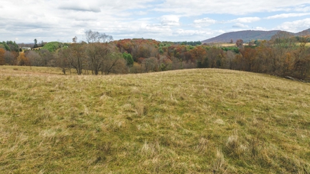Offering #4 Farmland for Sale at Auction in Floyd VA - image 19