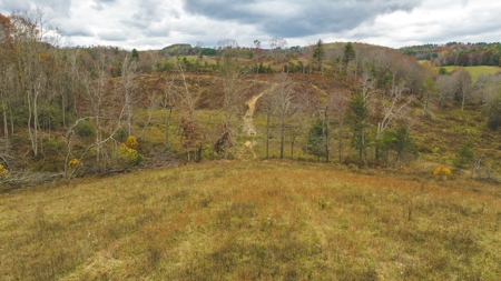 Offering #4 Farmland for Sale at Auction in Floyd VA - image 21