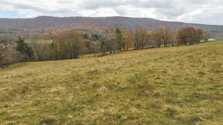 Offering #4 Farmland for Sale at Auction in Floyd VA - image 20