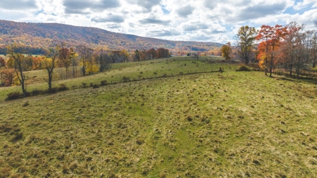 Offering #4 Farmland for Sale at Auction in Floyd VA - image 12