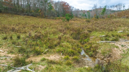 Offering #4 Farmland for Sale at Auction in Floyd VA - image 23