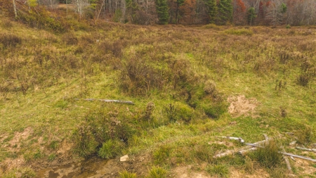 Offering #4 Farmland for Sale at Auction in Floyd VA - image 14