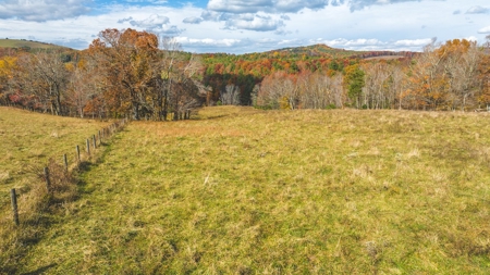 Offering #4 Farmland for Sale at Auction in Floyd VA - image 3